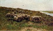 Mauve, Anton Sheep on a dyke oil painting reproduction
